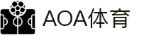 AOA体育官网 - 足球篮球热点赛事全覆盖